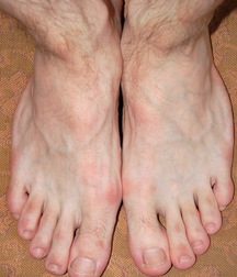 SEREGA 5838571e4e85c.jpg