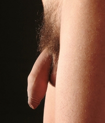 BOYS SESSION 6 586fc356bea92.jpg