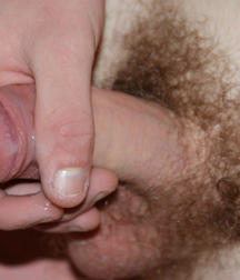 WILLY BOY 59058b69616bf.jpg