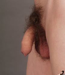 MODEL BOY 594d1fa1a638d.jpg