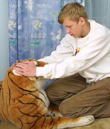 Dima 6 5a1a957ae2d13.jpg