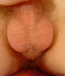 Dima 7 5a1a968acee89.jpg