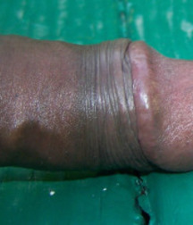 HD COCK CUMSHOT 56f1cd14c5387.jpg
