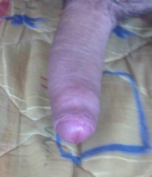cock 56ca3a44d6d12.jpg