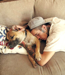 Nap Time 585ed6c94b480.jpg