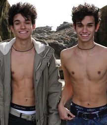 Twins 58860f7b51794.jpg