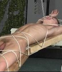All Tied Up!  The Sequel!! 58d707e3e8e44.jpg