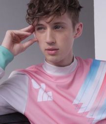 Out And Famous Part I--Troye Sivan!  5905015992e9e.jpg
