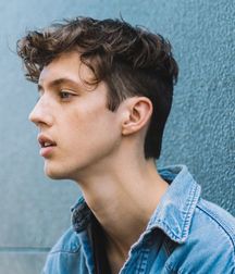 Out And Famous Part I--Troye Sivan!  59050177628a7.jpg