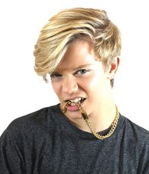 Out and Famous Part III--Ronan Parke! 590f4a2ee8dc2.jpg