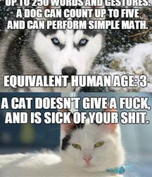 Just For Fun 5d5c2be7c0399.jpg