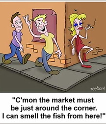 Just For Fun 5d5c2bf011238.jpg