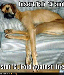 Just For Fun 5d5c2bf177eed.jpg