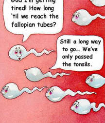 Just For Fun 5d5c2bffd6b62.jpg