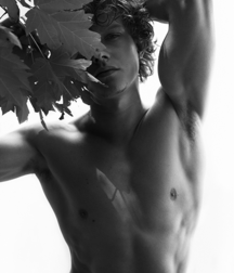 Uploaded by:lukas90 587bd4e1110af.png