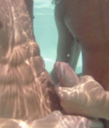 Teen studs fucking #66