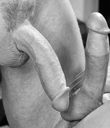 I like big cocks 125 58c45b7b3be2e.jpg