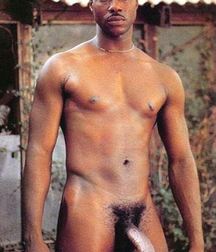 I like big cocks 126 58c56464bd2f5.jpg