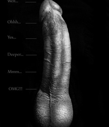 I like big cocks 135 58e6017477744.jpg