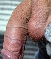 I like big cocks 137 58ebe2e5eb548.jpg