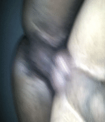 Boys - sex bareback 41 58fe721db558f.gif
