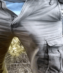 I like big cocks 146 58ff3cb796784.gif