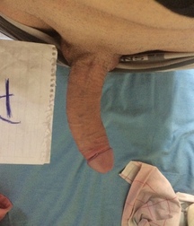 I like big cocks 153 591da673b779d.jpg