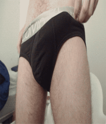 I like big cocks 155 591da97eaf63a.gif