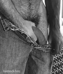 I like big cocks 167 593beadf80a56.gif