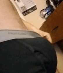 I like big cocks 175 5958101a8380a.gif