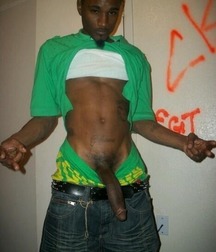 Twinks 230