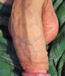 I like big cocks 182 597a3b0bdca4f.jpg