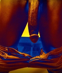 I like big cocks 187 598745a062fac.jpg