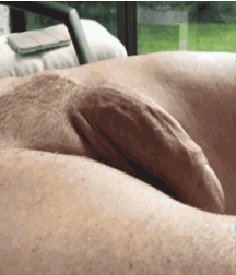 I like big cocks 188 59874a29dabe4.gif