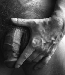 I love big cocks 198 59d7476f08b72.jpg