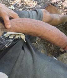 I love big cocks 203 59e6076d151fa.jpg