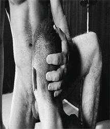 The ecstasy of the pumps 110 59e627970300e.gif