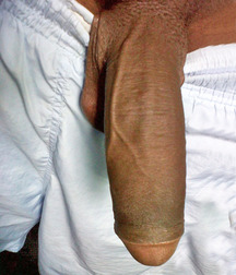 I love big cocks 222 5a1bf3c25d0b8.jpg