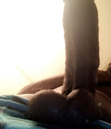 I love big cocks 223 5a3bbbad9a21c.png