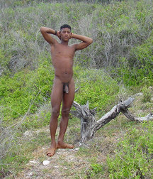 Twinks 430 5a3e73b98354e.jpg