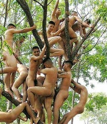 Twinks 451 5a5c8305876aa.jpg