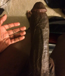 I love big cocks 230 5a61bf7165a44.png