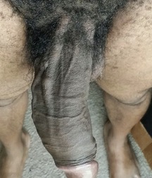 I love big cocks 231 5a61c4a82fa93.jpg