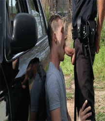 The ecstasy of the pump 123 5a6ce29f79242.gif