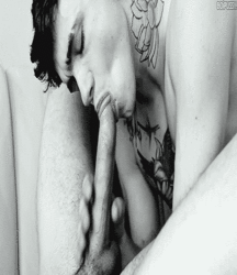 Twinks in action 55 5a6cf1899ad5c.gif