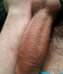 Twinks 476 5a6e3d82deeb9.jpg