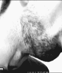 The ecstasy of the pump 134 5ae6ece920120.gif