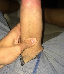 Twinks 518 5af56398af51a.jpg