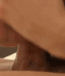 Teem studs fuching 137 5b0d58660c6c0.gif