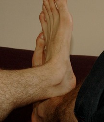 Top of my feet 56d17535219a2.jpg